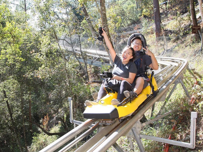景區雙軌滑車